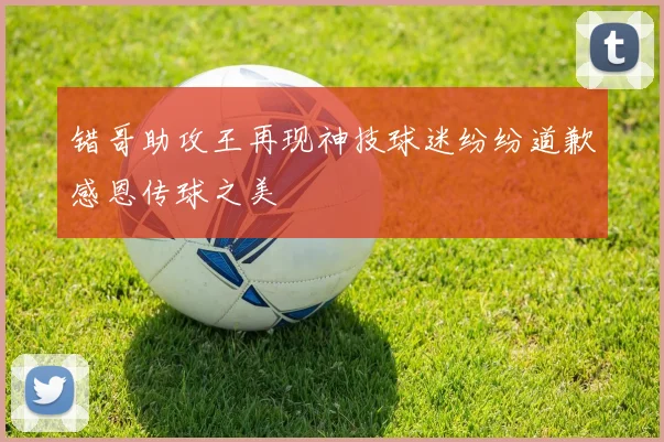 错哥助攻王再现神技球迷纷纷道歉感恩传球之美