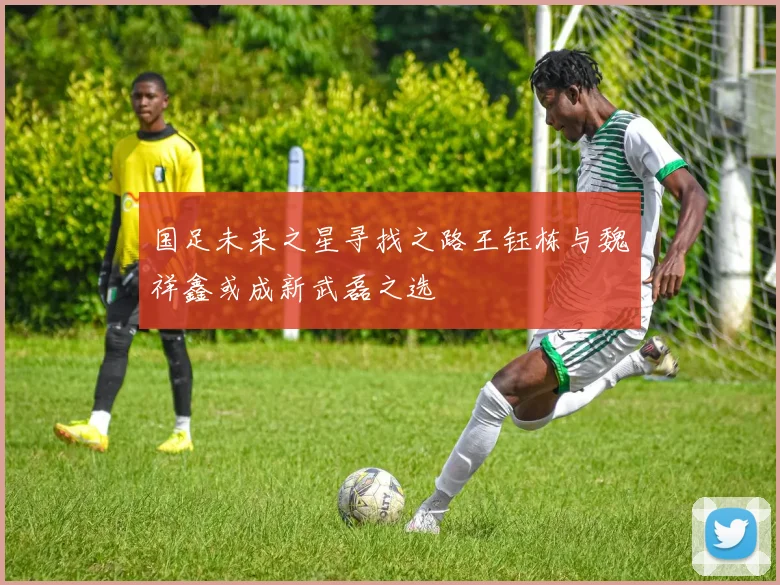 国足未来之星寻找之路王钰栋与魏祥鑫或成新武磊之选