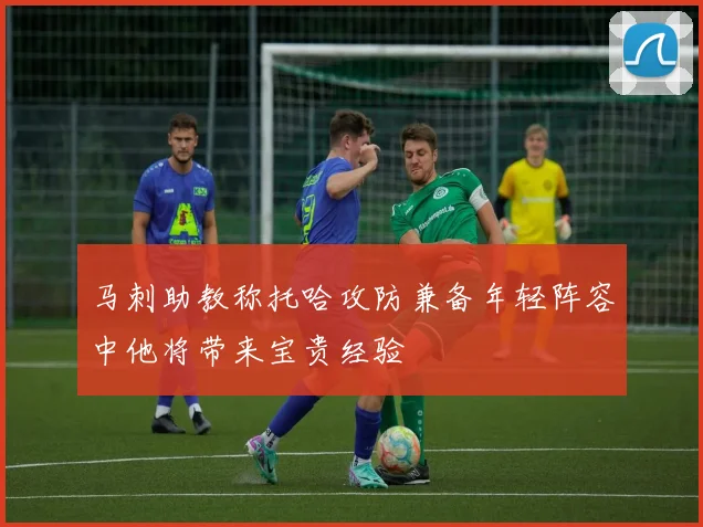 马刺助教称托哈攻防兼备年轻阵容中他将带来宝贵经验