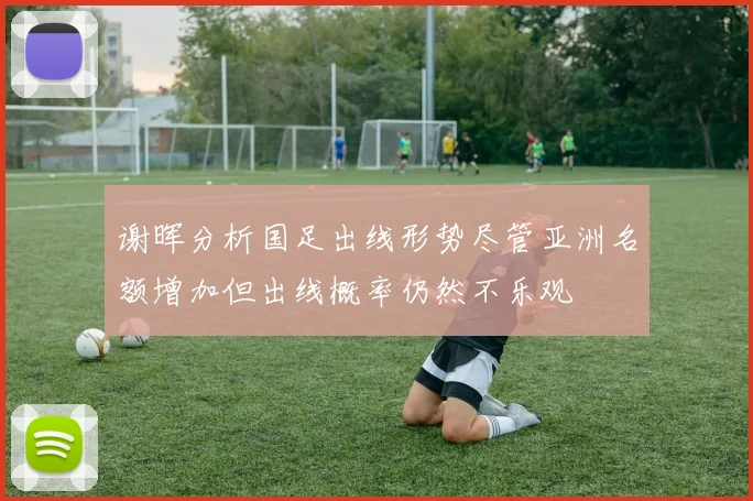 谢晖分析国足出线形势尽管亚洲名额增加但出线概率仍然不乐观
